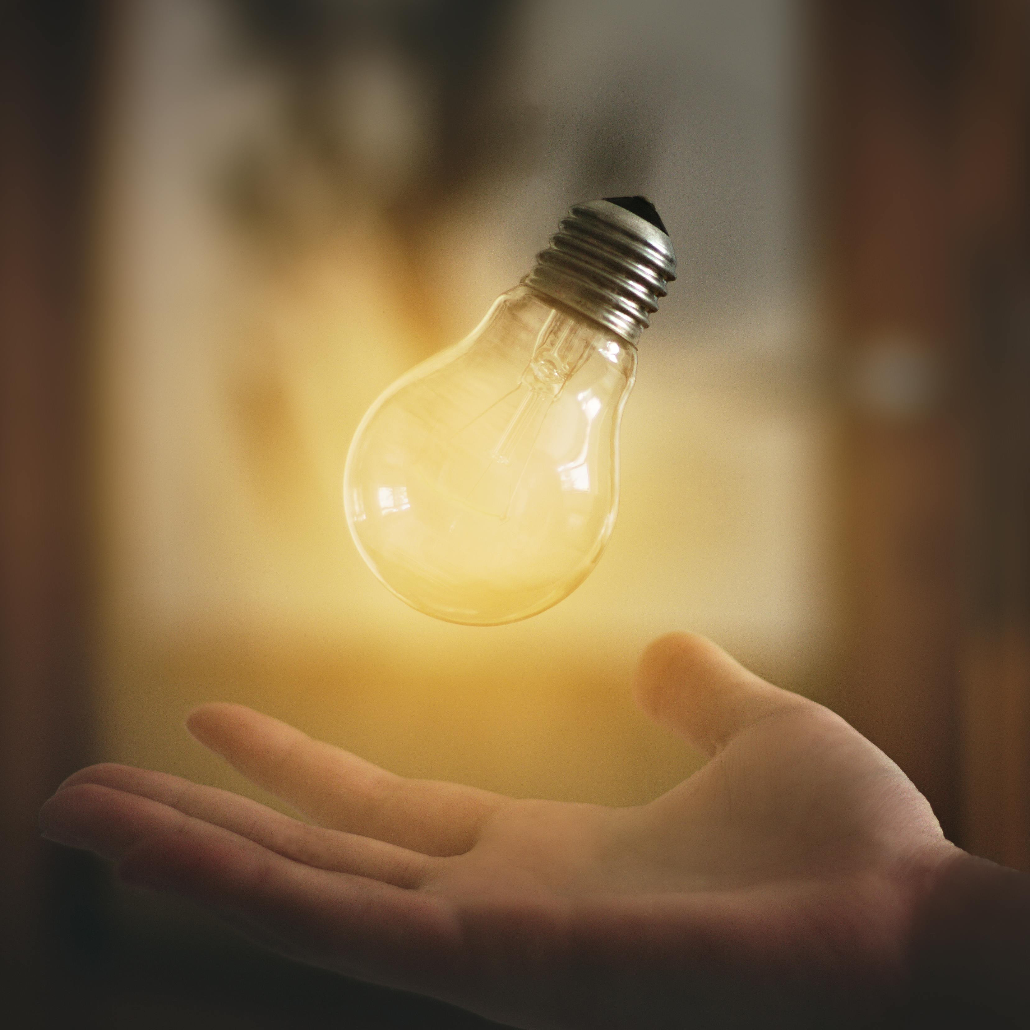 Ontario’s Save on Energy Program Helps Small Businesses Cut Costs
