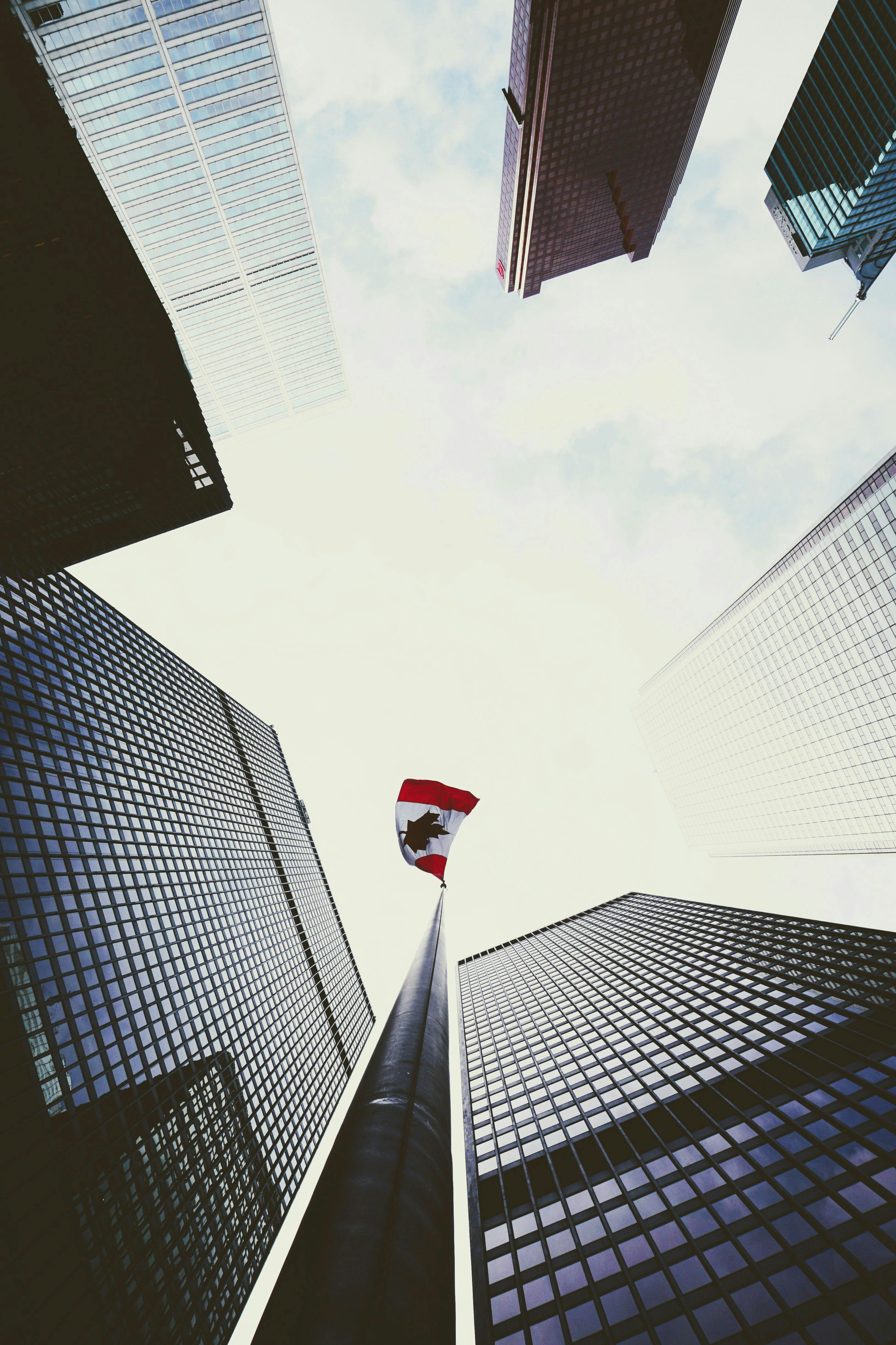 Canada’s Services Sector Contracts as Employment Declines