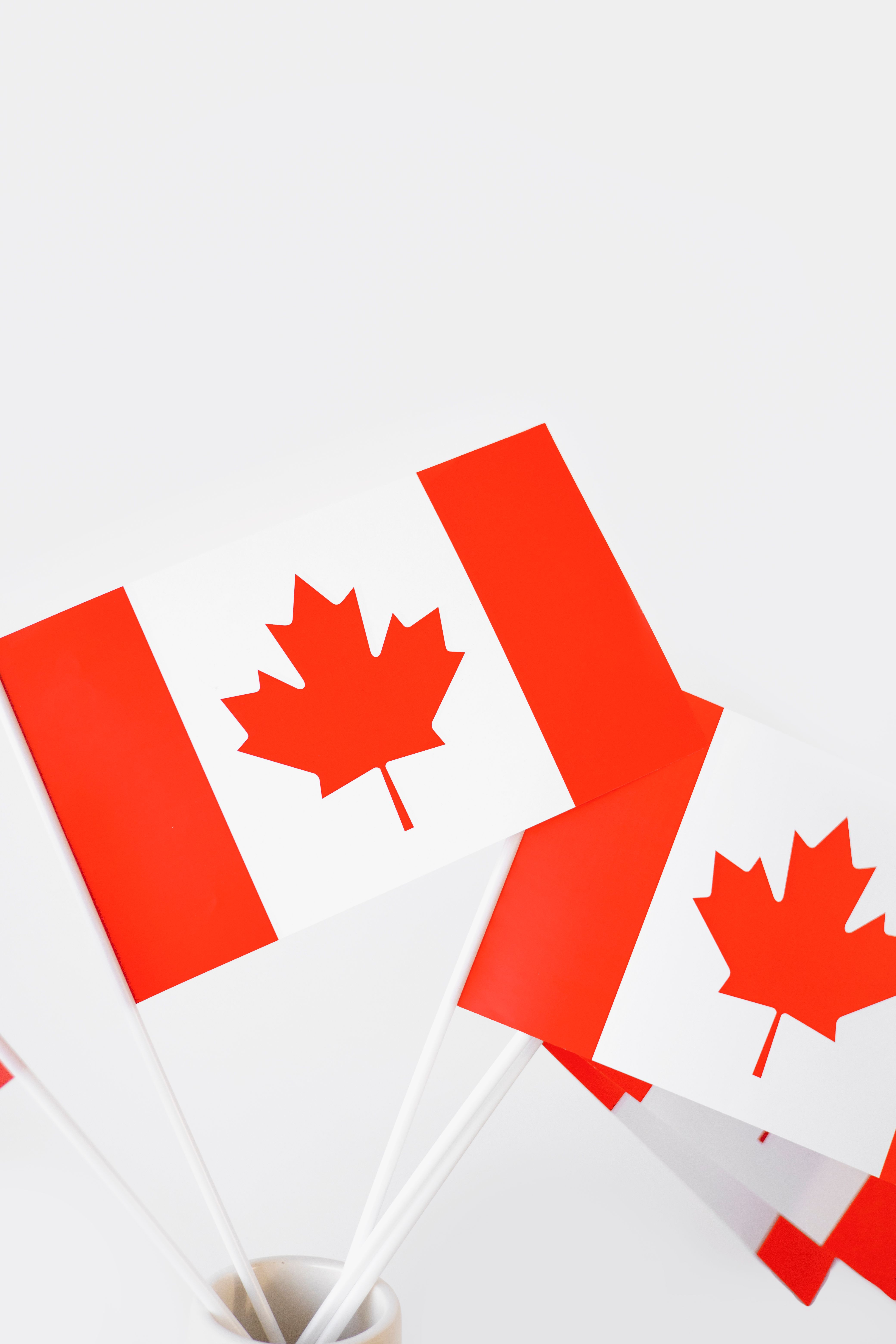 C11 Work Permit Business Plan: What IRCC Actually Looks For in 2026